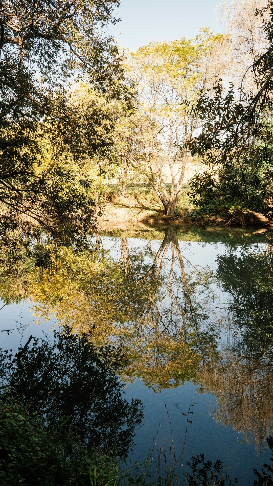 Heavenly Holistic Ritual spa package